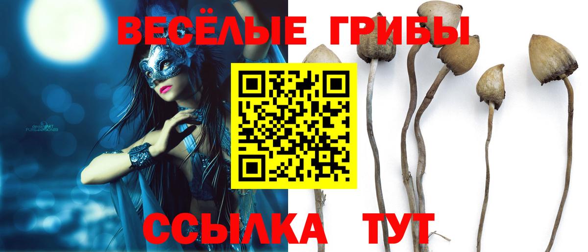 Галлюциногенные грибы ЛСД Ишимбай